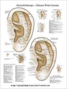 Chinese System of Ear Acupuncture Poster