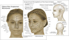 Acupuncture Microsystems of the Face and Head