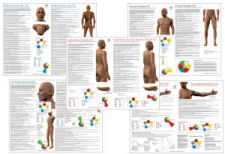 Acupuncture Meridian Point 8 Poster Set