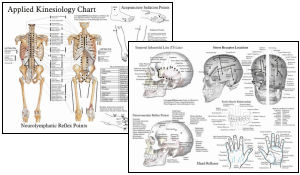 Applied kinesiology Chart