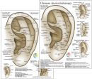 Chinese Ear Acupuncture Chart