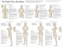 Acupuncture Meridian Poster