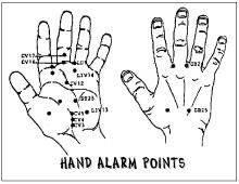 Hand Alarm Points