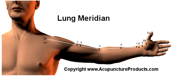 Acupuncture Lung Meridian Points